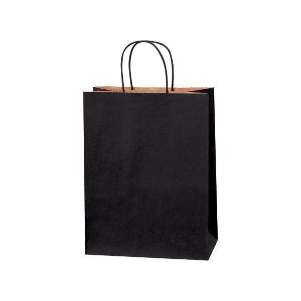 Bsc Preferred 10 x 5 x 13'' Black Tinted Shopping Bags, 250PK BUY00029633 - main